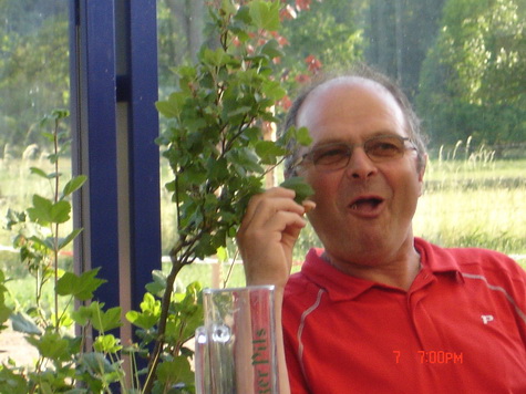 Kurt er så sulten at han spiser bladene ... Kurt er så sulten at han spiser bladene ...