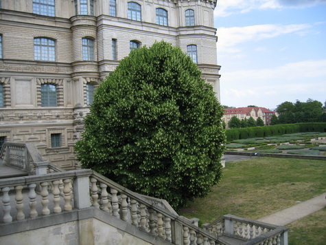 Schloss Güstrow Schloss Güstrow