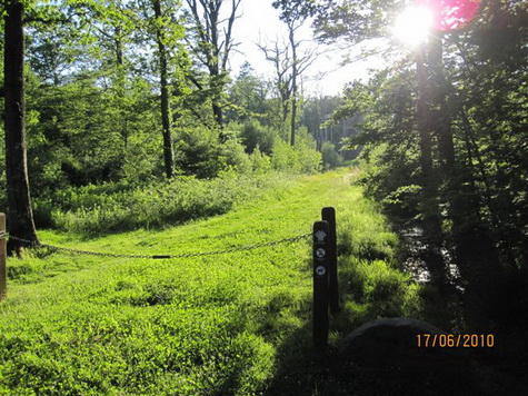 Draved Skov Draved Skov