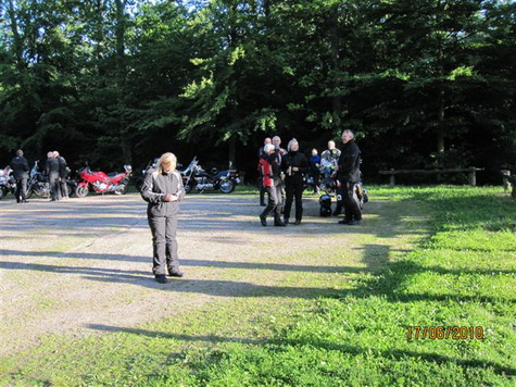 Draved Skov Draved Skov